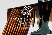 Paso Robles | Handwritten Script, a Handwritten Font by Jen Wagner Co (Thumbnail 9 of 13)