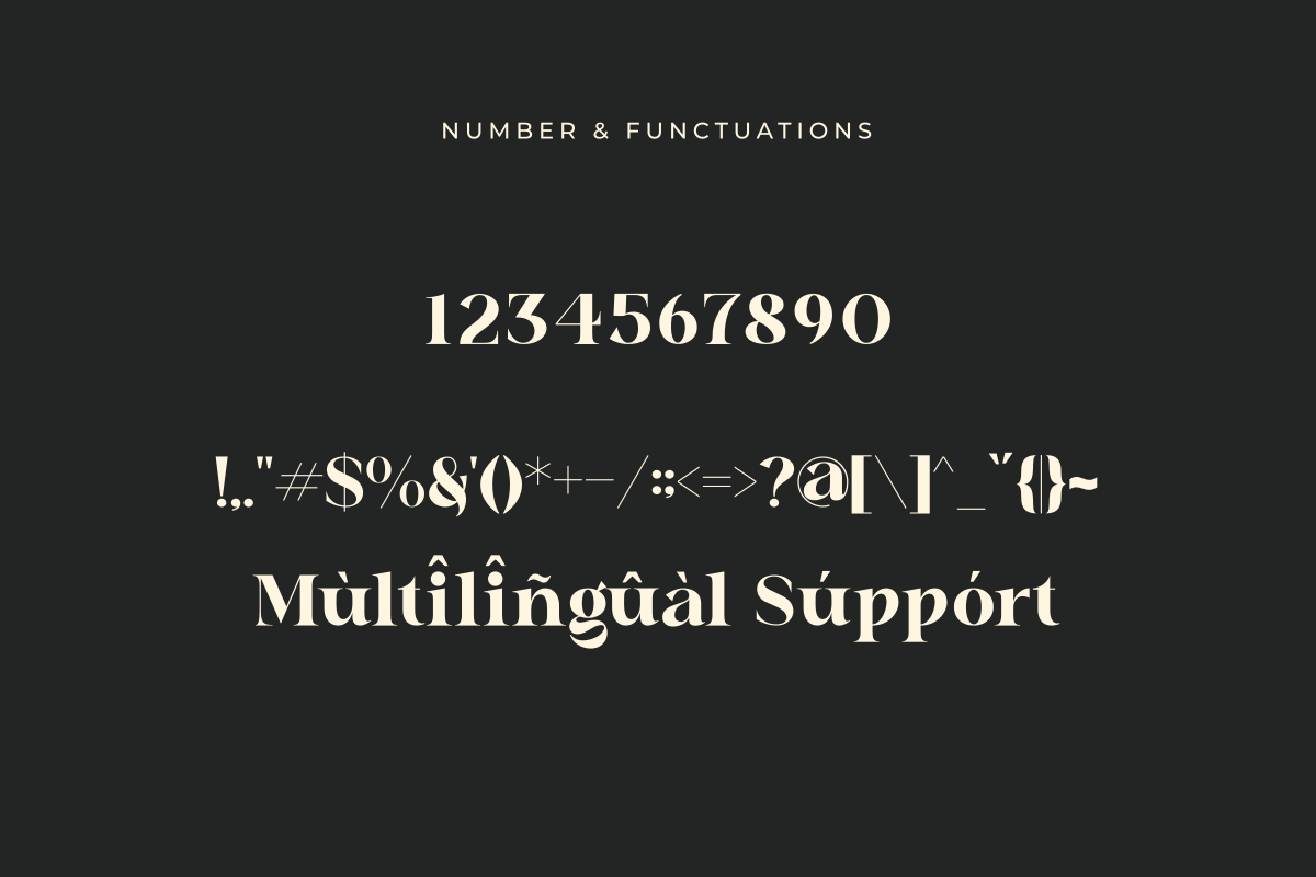 Chafira, a Serif Font by Zafiratype (Photo 10 of 10)