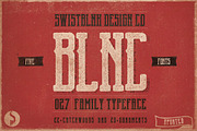 Whole Store Bundle | 95 OFF, a Serif Font by Swistblnk Std. (Thumbnail 25 of 60)
