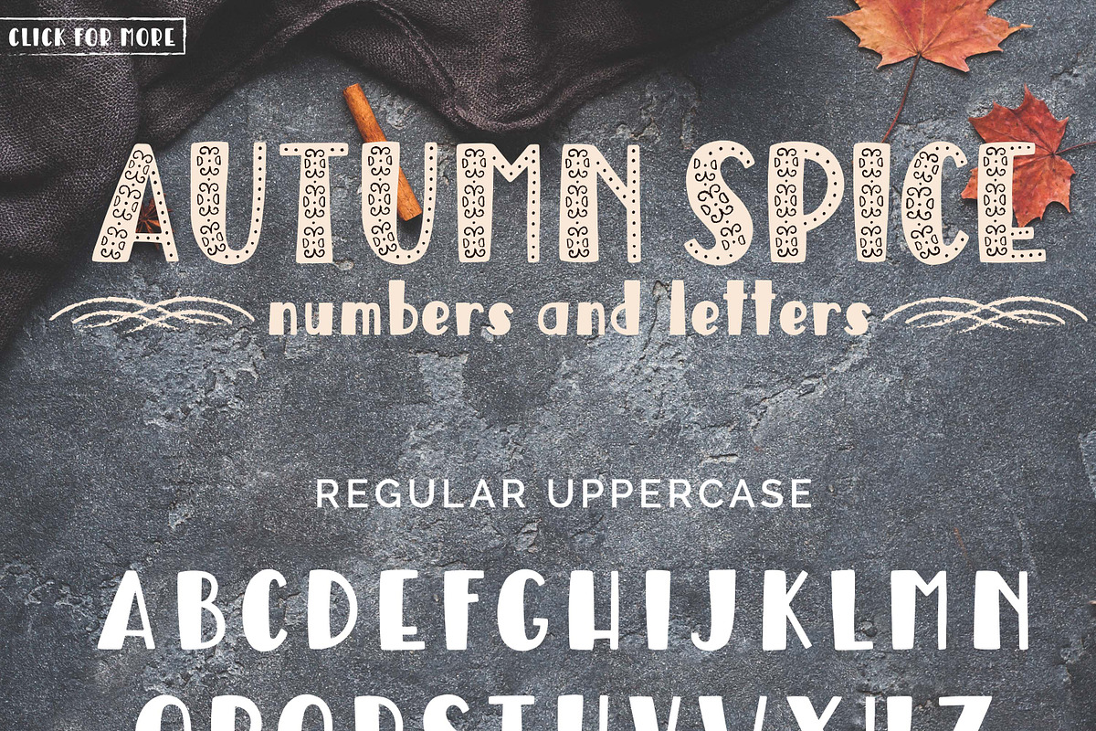 Autumn Spice Display San Serif Font preview 2