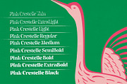 Pink Crestelle Font on Sale, a Slab Serif Font by creativemedialab (Thumbnail 3 of 17)