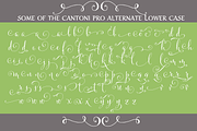 Cantoni Total Design Font, a Script Font by Debi Sementelli (Thumbnail 4 of 5)