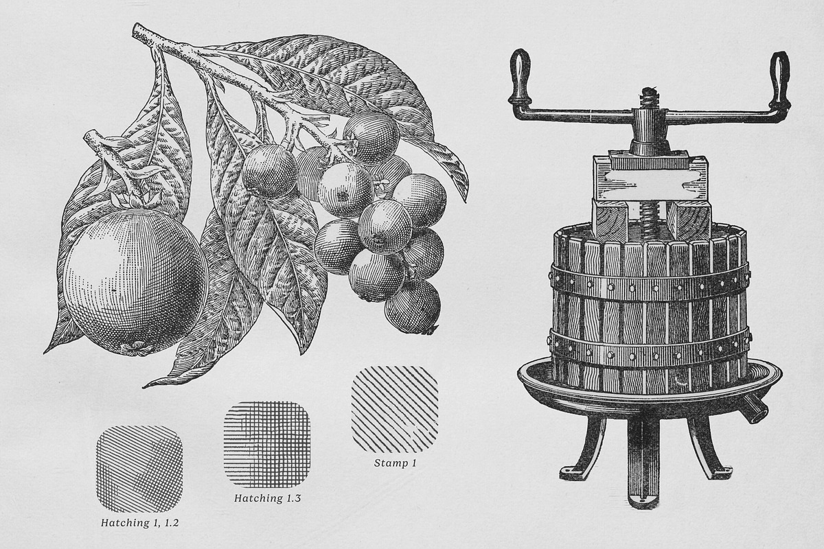 Fruit Grower's Guide Procreate Kit, a Brush Add-On by Digi Life (Photo 5 of 9)