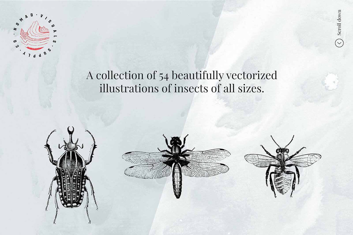 Vintage Bundle - 6600+ Illustrations, an Object Graphic by Nomad Visuals (Photo 24 of 46)