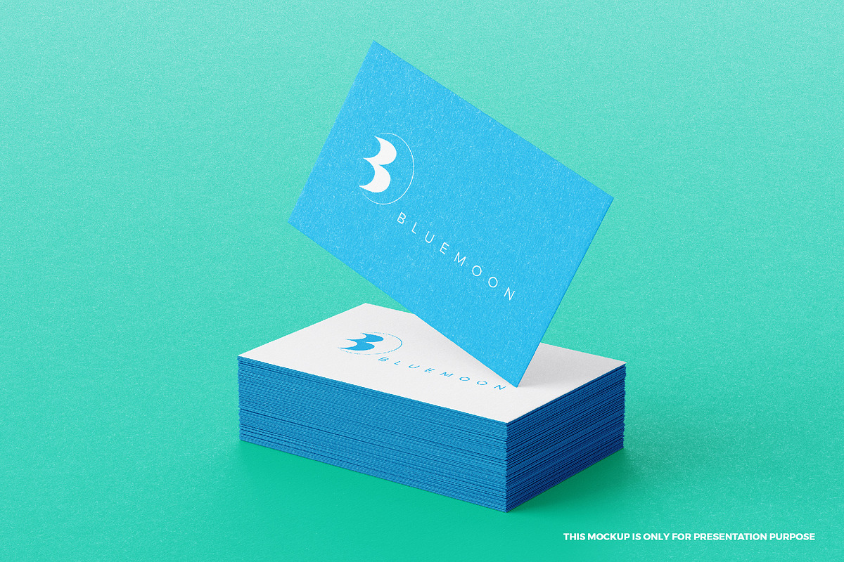 Bluemoon logo, a Branding & Logo Template by MuzaInspires (Photo 3 of 3)