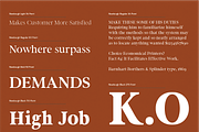 Newburgh Family, a Serif Font by Maison Octave (Thumbnail 6 of 10)