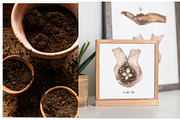 Watercolor Garden Collection, a Work Illustration by MayaNavits (Thumbnail 7 of 13)