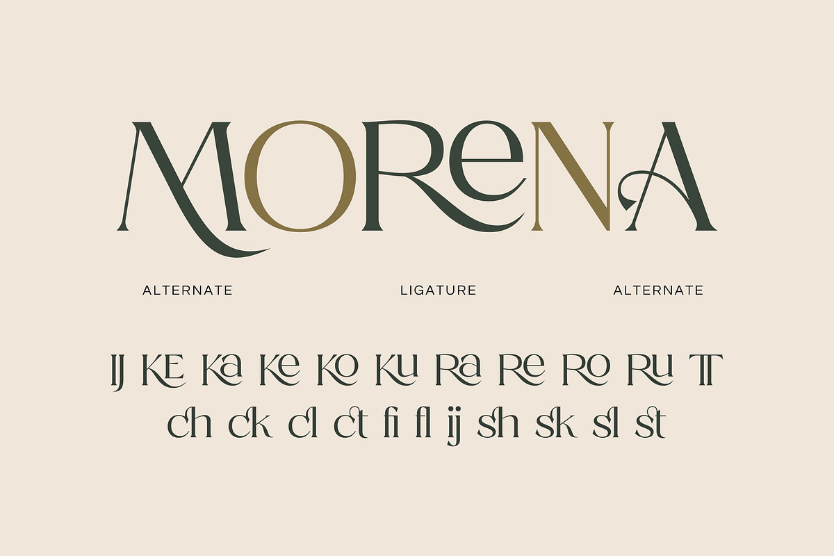 Ronds Mukode-Aesthetic Serif Font, a Serif Font by Fype Co. (Photo 4 of 5)