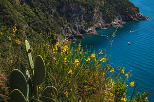 Corniglia view from the hiking trail, a Nature Photo by Alpine Dreams