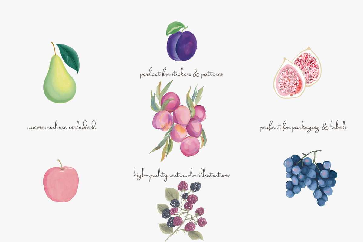 Fruit watercolor clipart set, a Decorative Illustration by Patishop Art (Photo 2 of 7)