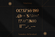 Mariona Luxury Serif Font, a Serif Font by Compaq_Creative (Thumbnail 14 of 15)