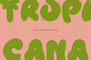 Tropic Jelly - Summer Display Font, a Handwritten Font by BilberryCreates (Thumbnail 5 of 11)