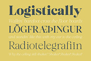 Almero Serif Family, a Serif Font by Zane Studio (Thumbnail 11 of 11)