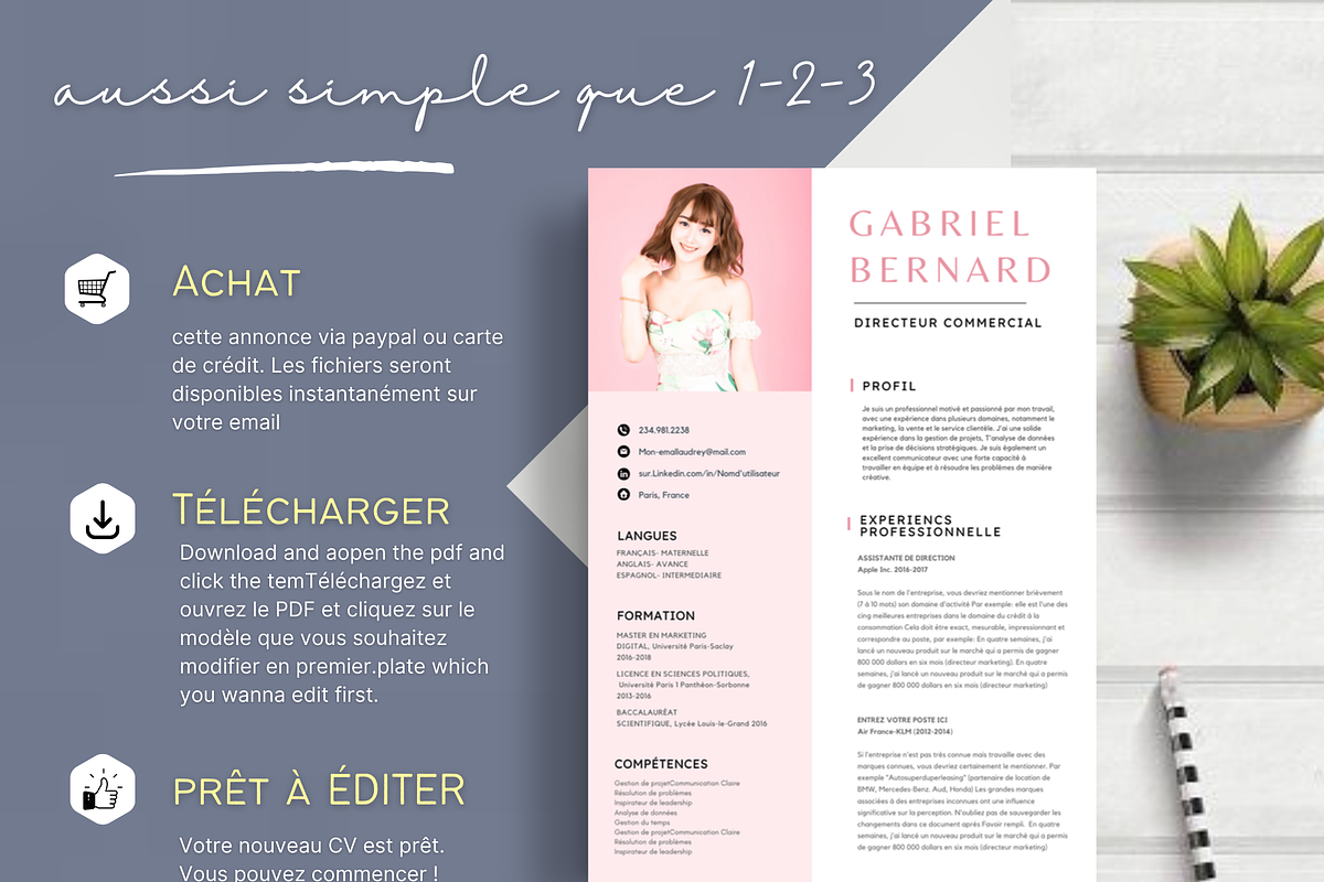 Cv francais, Modèles de CV Simples, a Resume Template by Climbwithelevator (Photo 7 of 7)