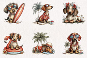 Summer Dachshund Dog PNG Clipart, an Animal Illustration by CreationArt (Thumbnail 4 of 7)