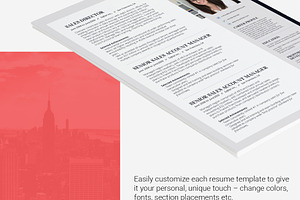 Resume Template Shanira