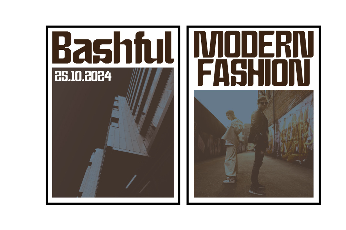 Bashful - Sans Condensed Font, a Sans Serif Font by tebaltipislab (Photo 9 of 12)