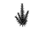 Floral Ornament Silhouette Bundle, an Illustration by BIPLOB EXPERT (Thumbnail 43 of 51)