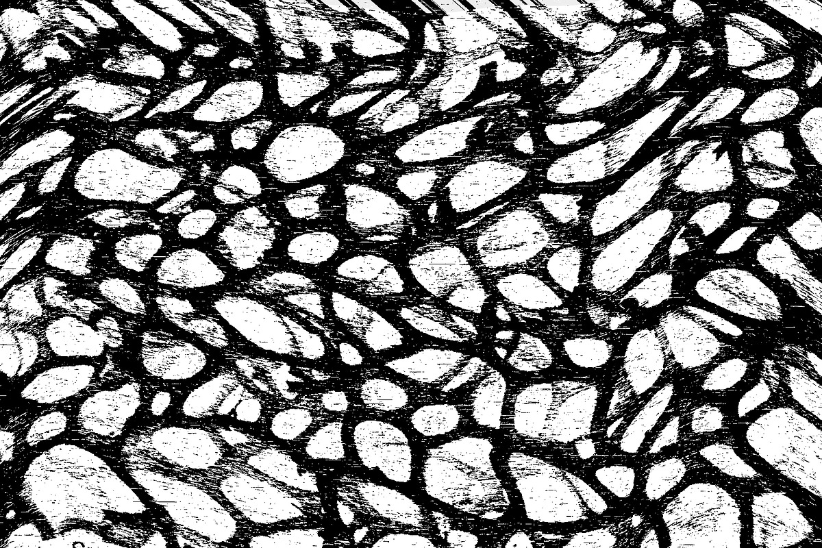 Lilliputian, a Texture Graphic by Jennifer Lauren Creative (Photo 16 of 28)