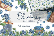 Blueberry watercolor collection, an Object Illustration by Pattern + watercolor (Thumbnail 1 of 10)