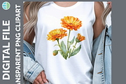 Flower Illustration Bundle, 20 PNG, a Decorative Illustration by Enliven Designs (Thumbnail 4 of 8)