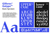 Gilferos, a Serif Font by Gatype (Thumbnail 15 of 16)