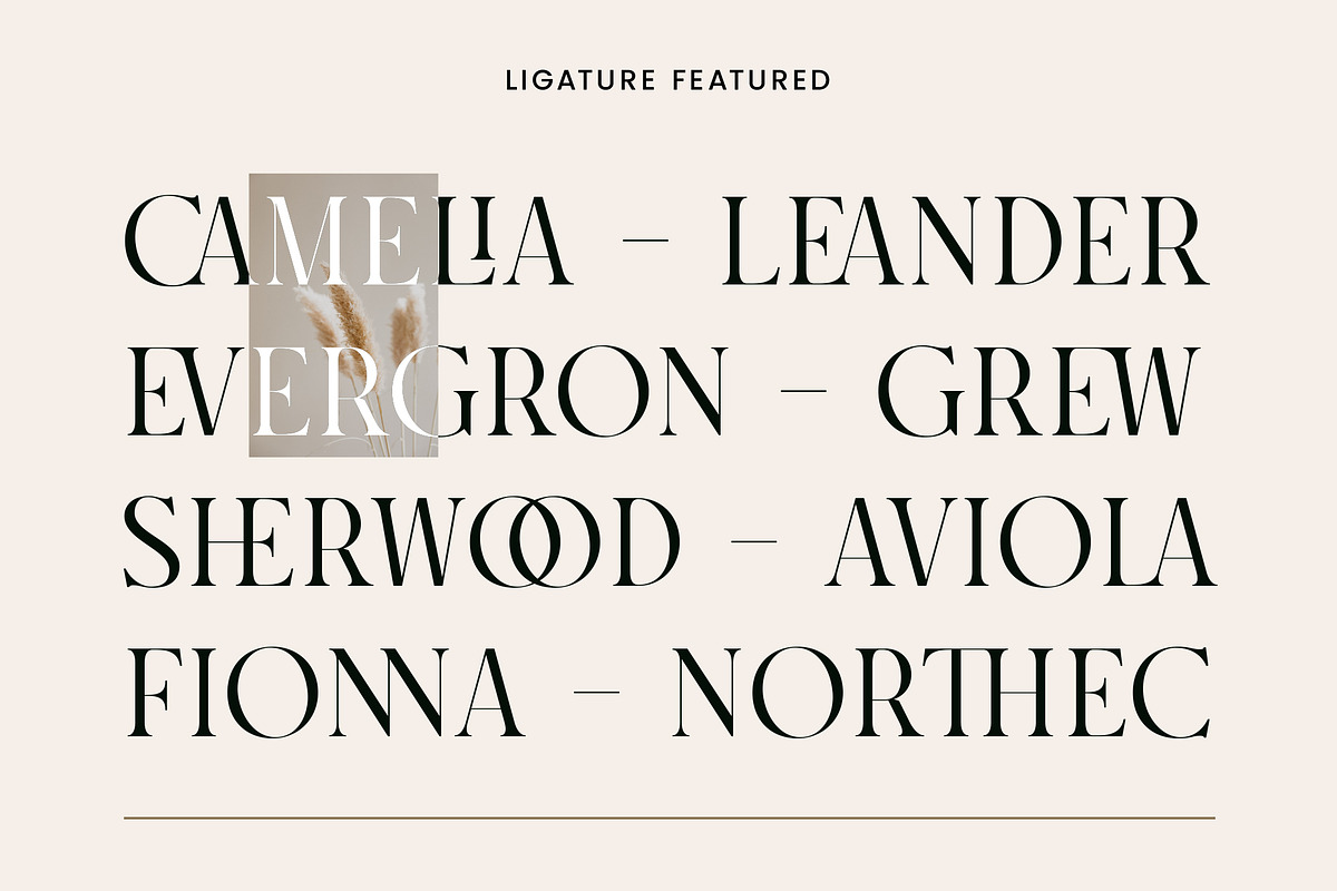 Rosegold House - Modern Font Duo, a Serif Font by TropicalSunlightCo. (Photo 12 of 13)