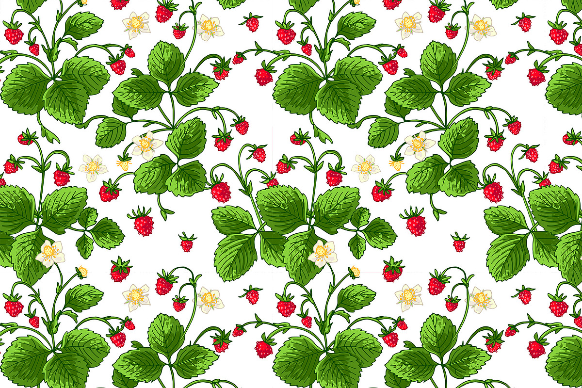 Strawberry berries vector color, a Graphic by irina.vaneeva (Photo 1 of 8)