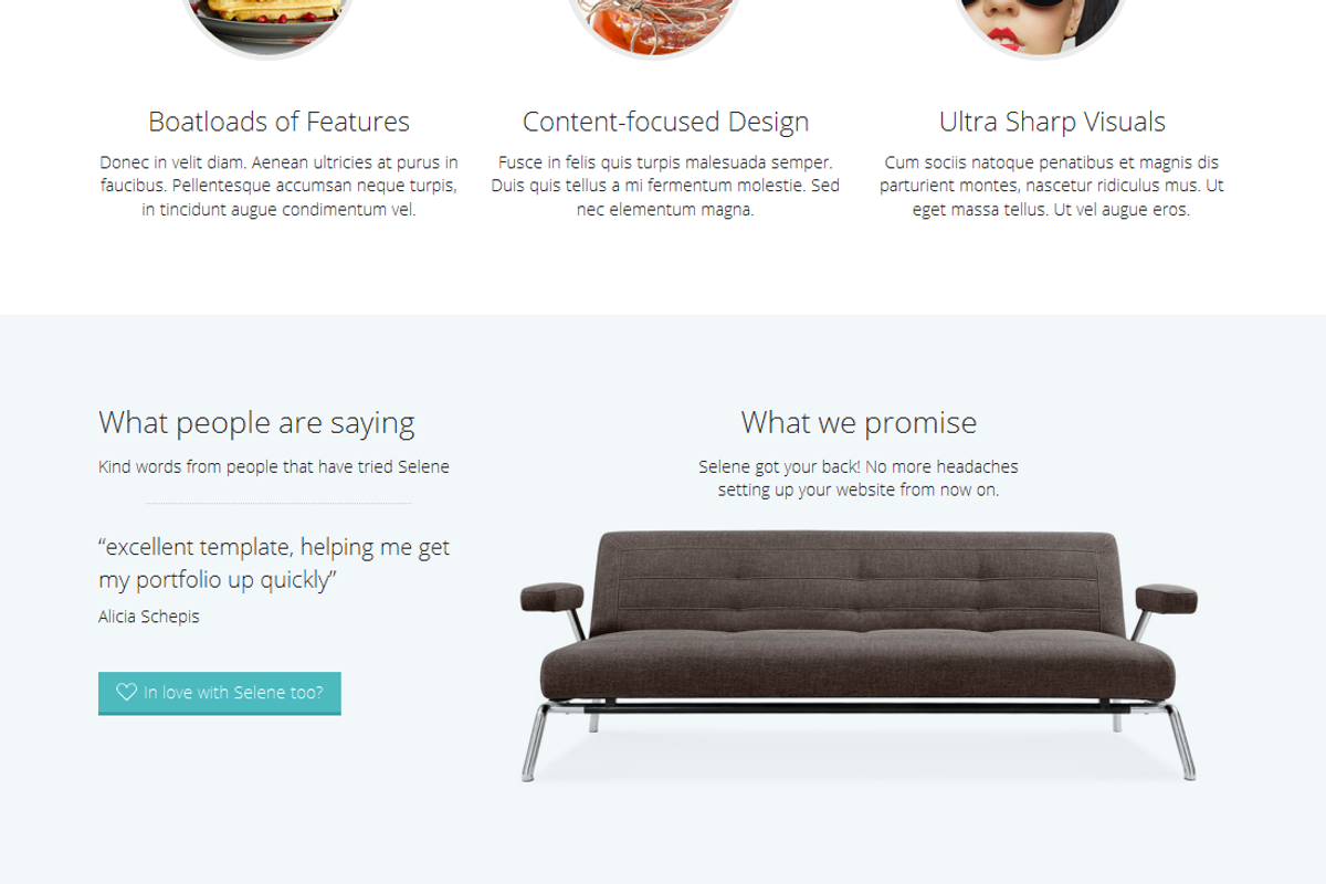 Selene - Responsive WordPress Theme, a WordPress Template by Carvd Themes (Photo 3 of 5)