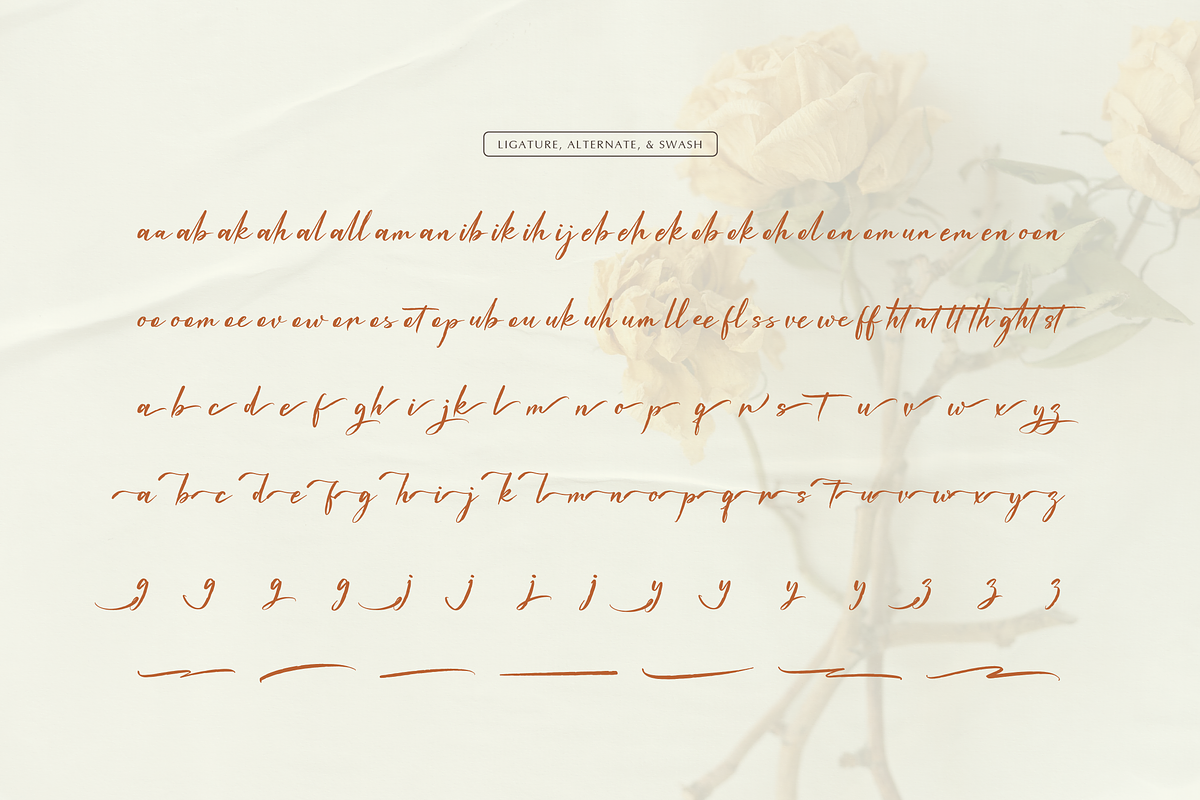 Waiting Cassey | Handwritten Script, a Script Font by gracetype_studio (Photo 11 of 12)