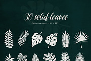 Tropical Leaves & Patterns, an Illustration by amber&ink (Thumbnail 3 of 9)