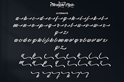 Starlight || Modern Script, a Script Font by Analogous (Thumbnail 14 of 16)