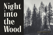 Salbatore - Vintage Serif, a Serif Font by Almeera Std (Thumbnail 5 of 6)