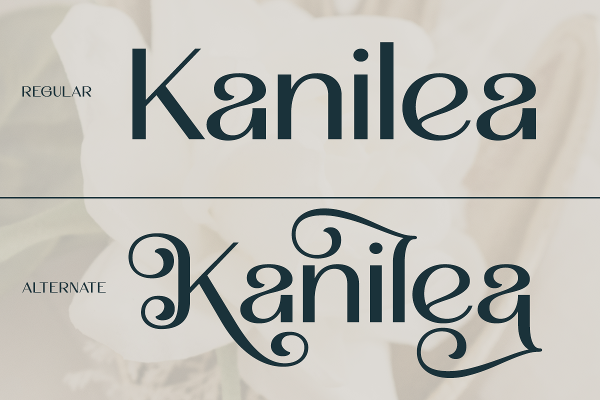 Malovi - Modern Elegant Serif, a Serif Font by Font Liner (Photo 9 of 13)