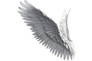 set of photorealistic angel wings, an Object Graphic by itakdalee (Thumbnail 8 of 11)
