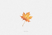 Watercolor fall leaves, an Illustration by DigitalDream (Thumbnail 2 of 5)