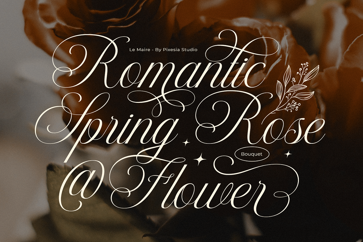 Le Maire - Modern Cursive Script, a Script Font by Pixesia Studio (Photo 2 of 11)