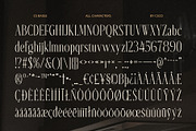 Baige – Condensed Font, a Serif Font by Craft Supply Co. (Thumbnail 8 of 8)