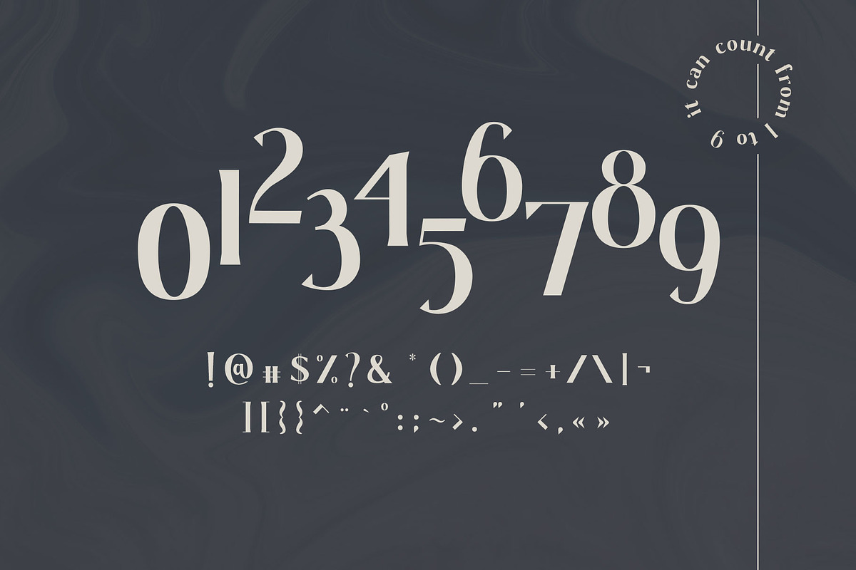 Gaskin | Wedge Serif preview 5
