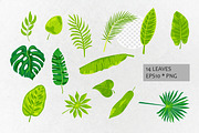Vector tropical leaves, an Object Graphic by VaraNa Art (Thumbnail 7 of 13)