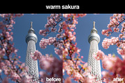 11 Japanese Lightroom Presets, a Preset Add-On by Gridfiti (Thumbnail 2 of 12)