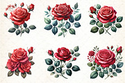 Watercolor Red Roses Clipart Bundle, an Illustration by DreamCafeArt (Thumbnail 2 of 4)