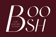 Astraal - Modern & Luxury, a Serif Font by BOOSH Studio (Thumbnail 3 of 12)