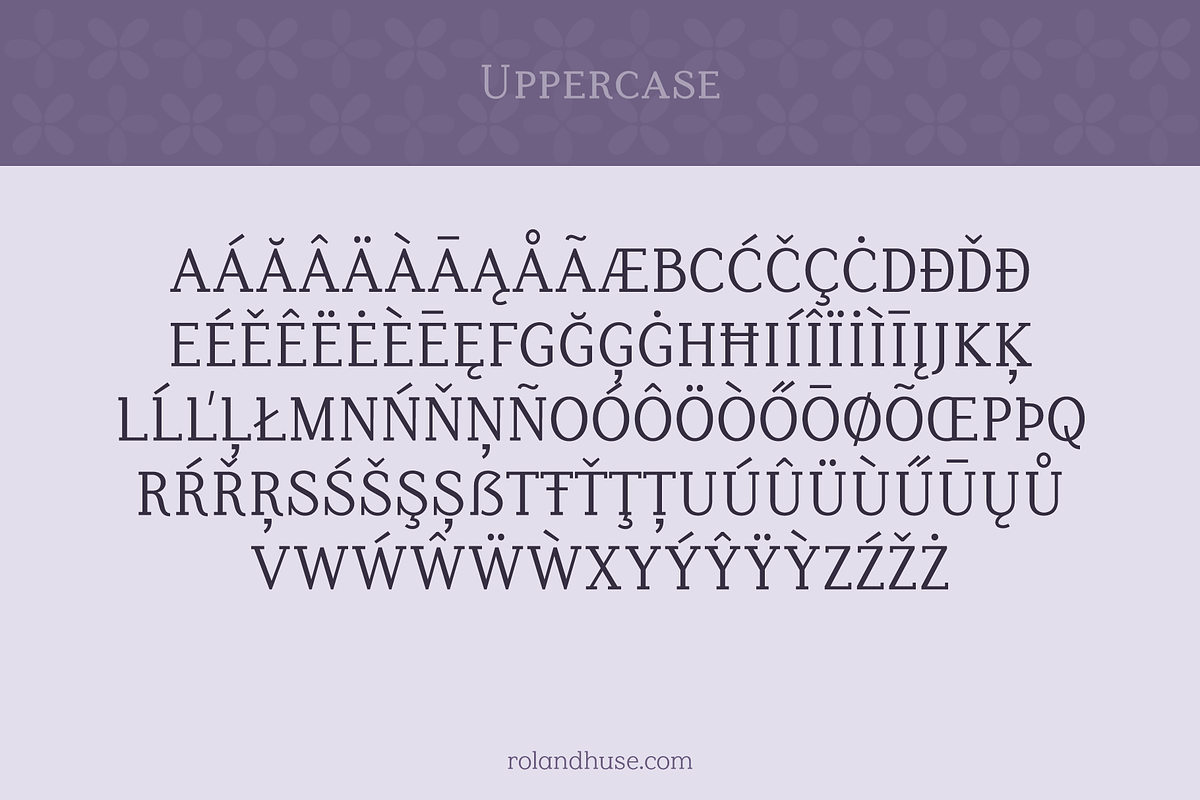 Lilac Block Weight Variable Serif, a Font by Roland Huse Design (Photo 3 of 6)