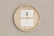 'MAGIC MOON' 22 LOGO TEMPLATES, a Branding & Logo Template by Luna Dreams (Thumbnail 12 of 15)