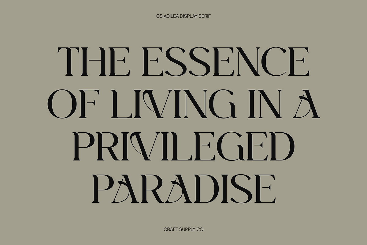 CS Acilea – Modern Serif Font, a Serif Font by Craft Supply Co. (Photo 6 of 8)