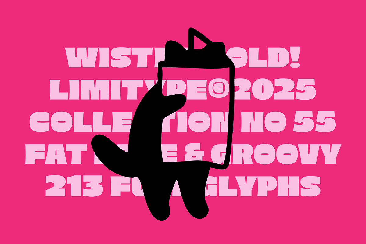 Wister - Bold Font, a Sans Serif Font by limitype (Photo 4 of 12)