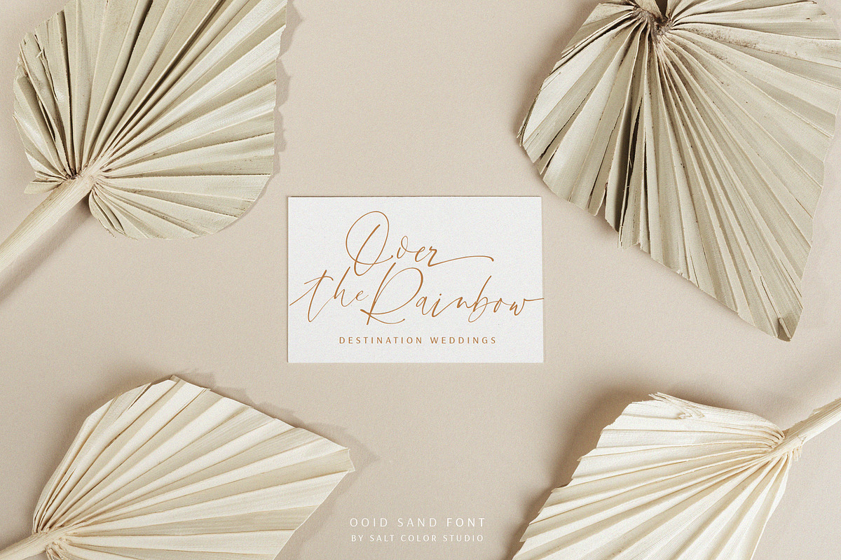 Ooid Sand Calligraphy Script Font preview 8