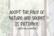 Farmer's Grove Handwritten Font, a Handwritten Font by Beck McCormick (Thumbnail 3 of 10)