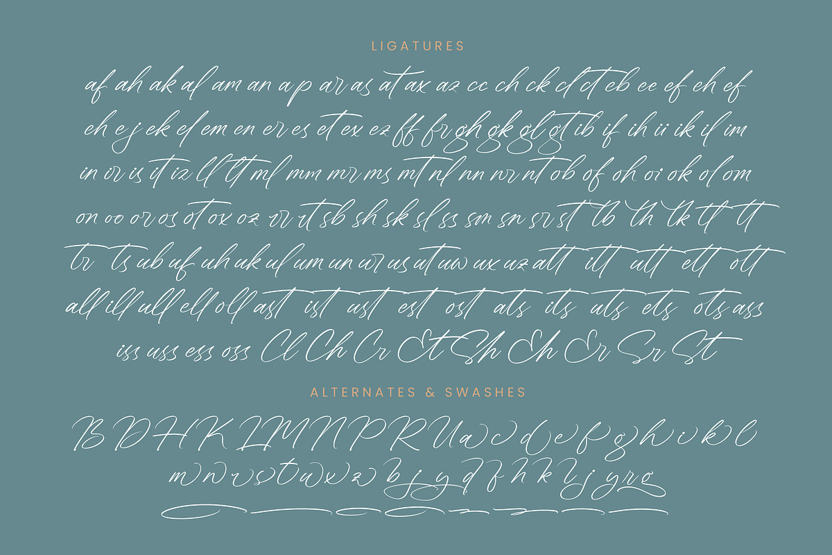 Sheyotu Etrella Stylish Handwritten, a Script Font by stylishtype.co (Photo 19 of 20)